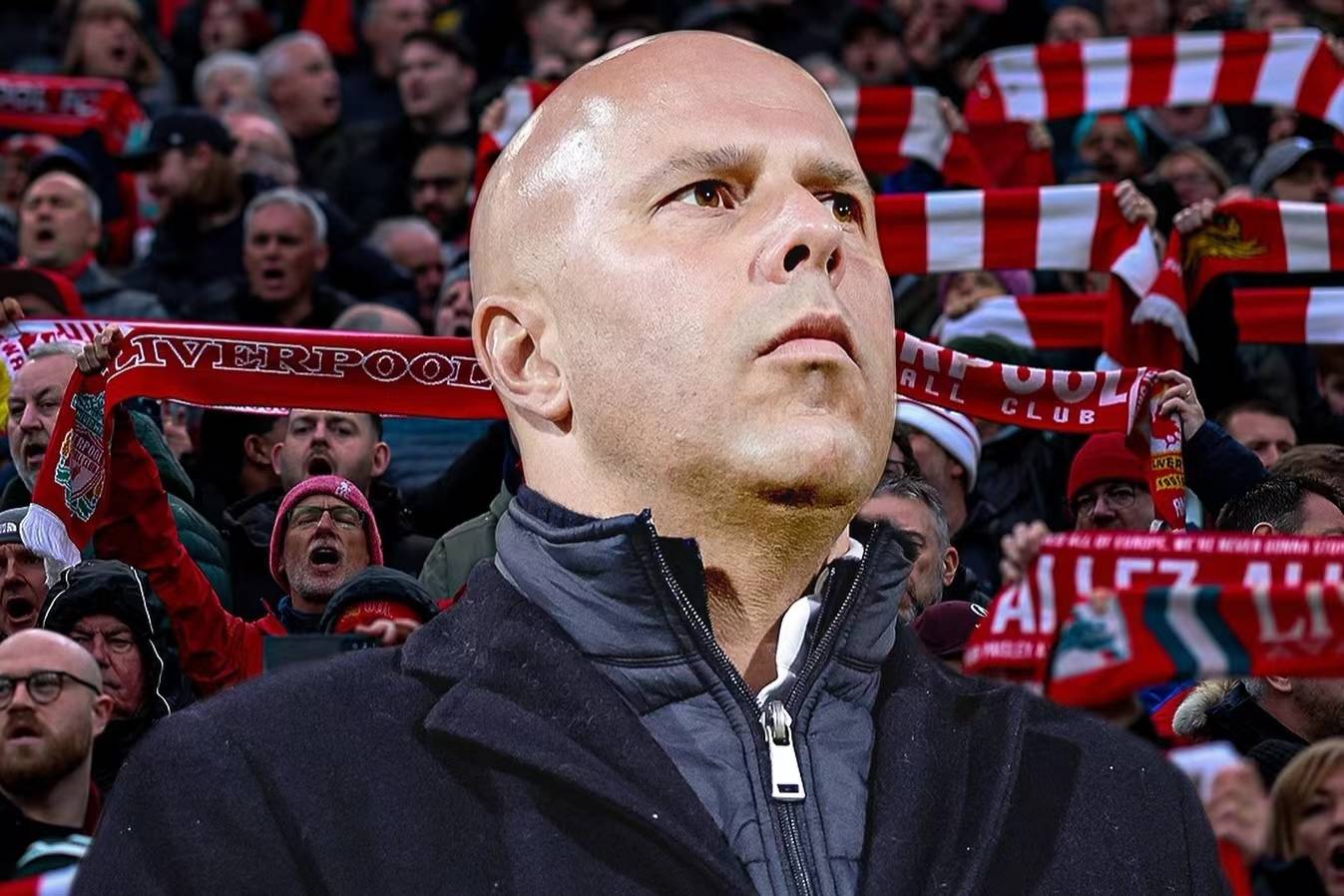 ag体育平台官网-大棚种植什么最赚钱