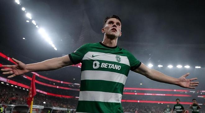 大棚种植什么最赚钱